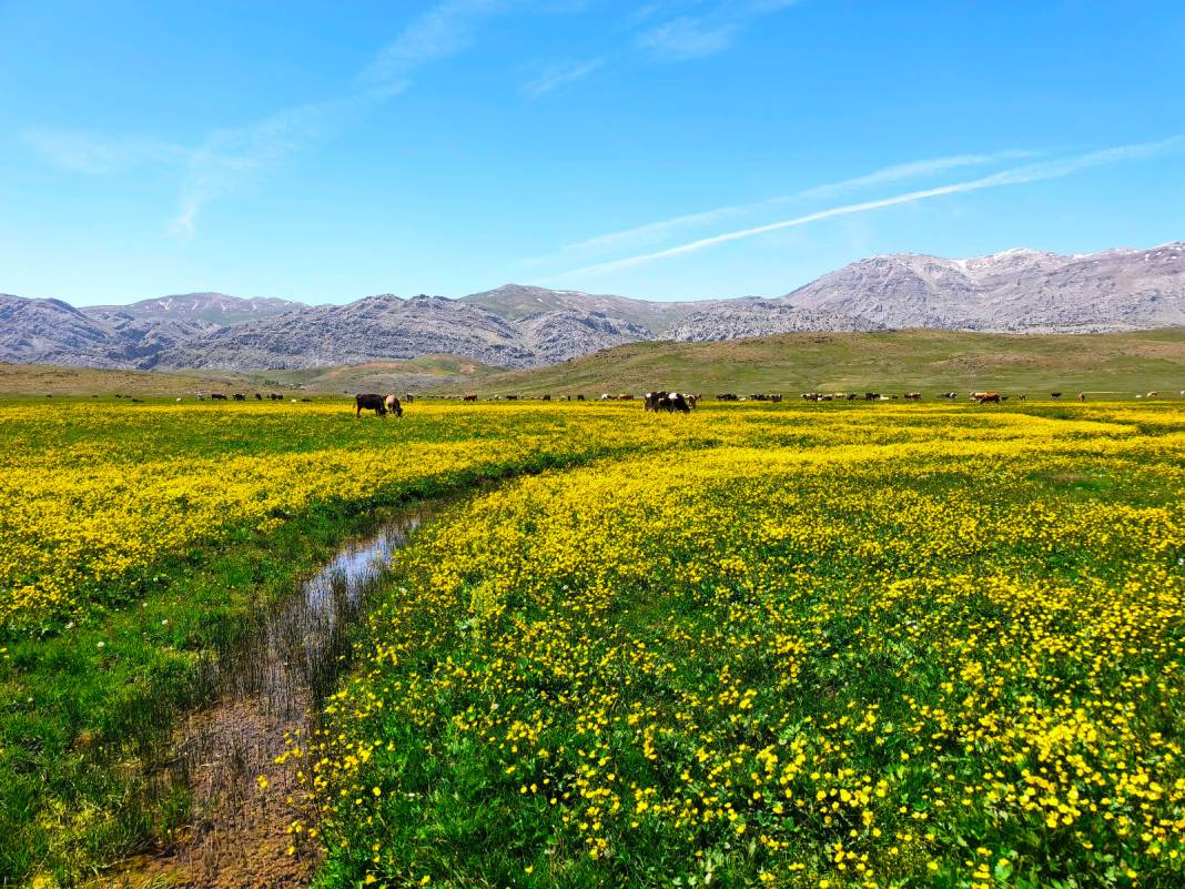 Konya’nın cennet köşesi baharı böyle karşıladı 11